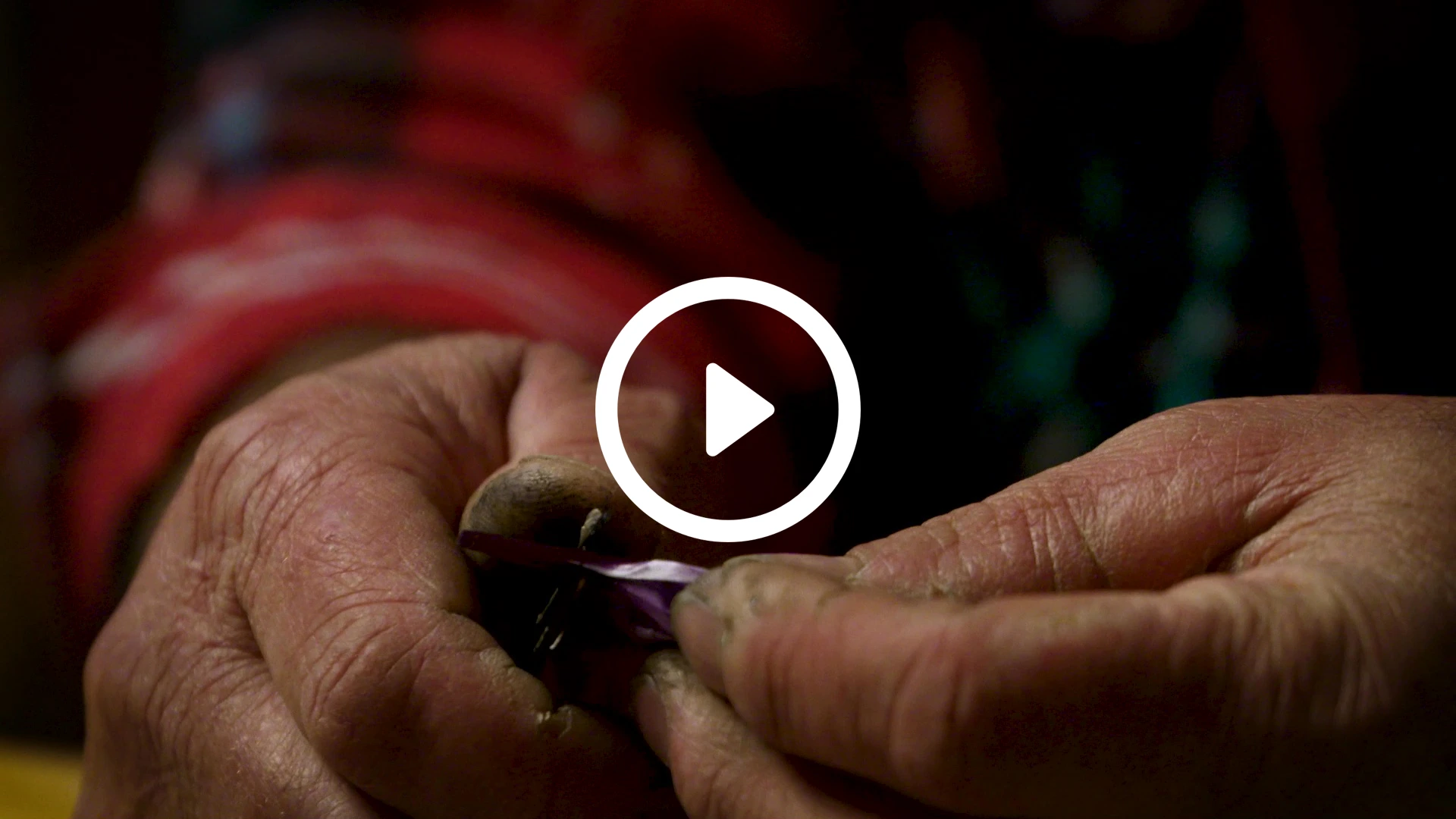 Vidéo Résilience paysanne