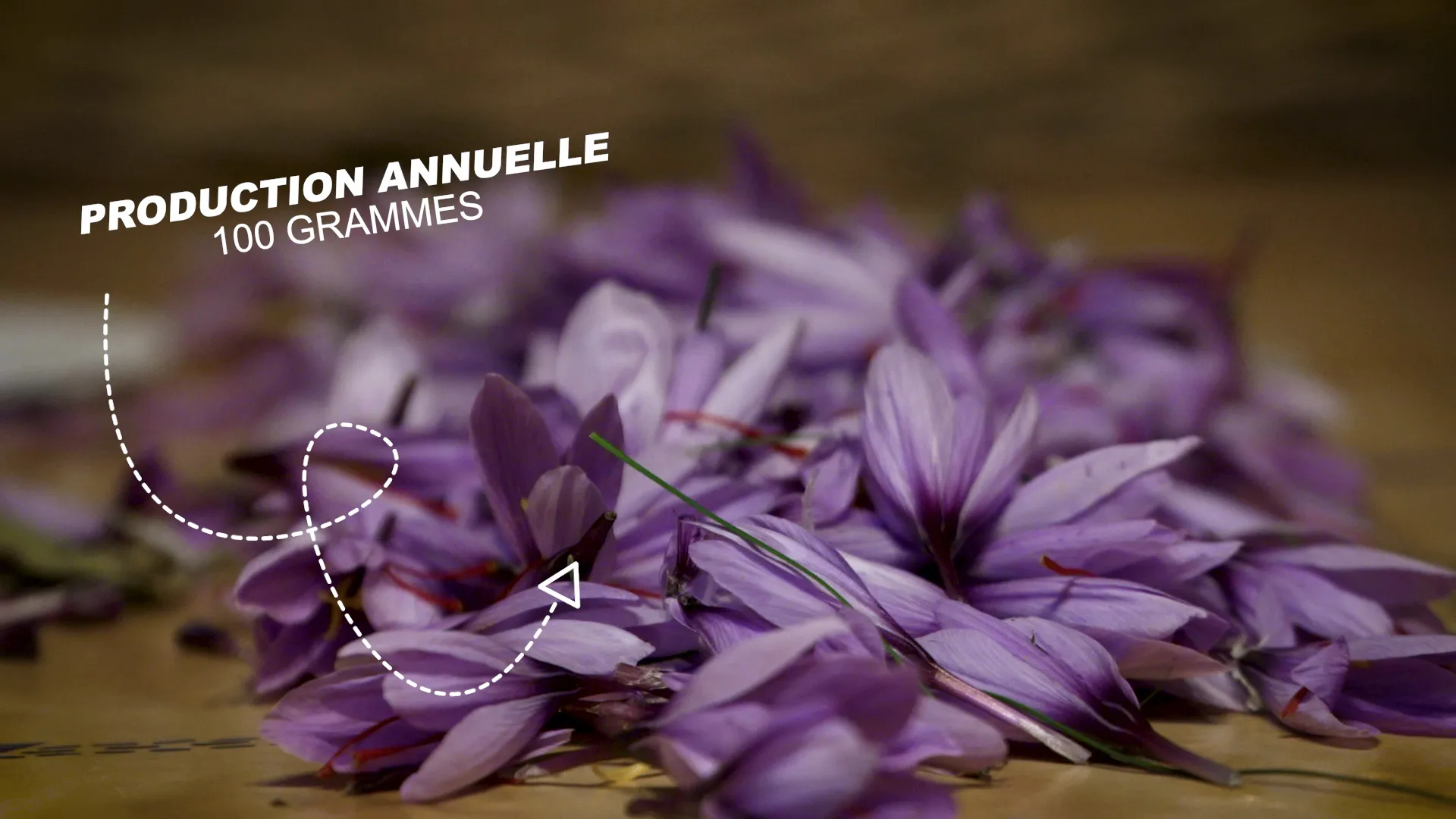 Résilience paysanne